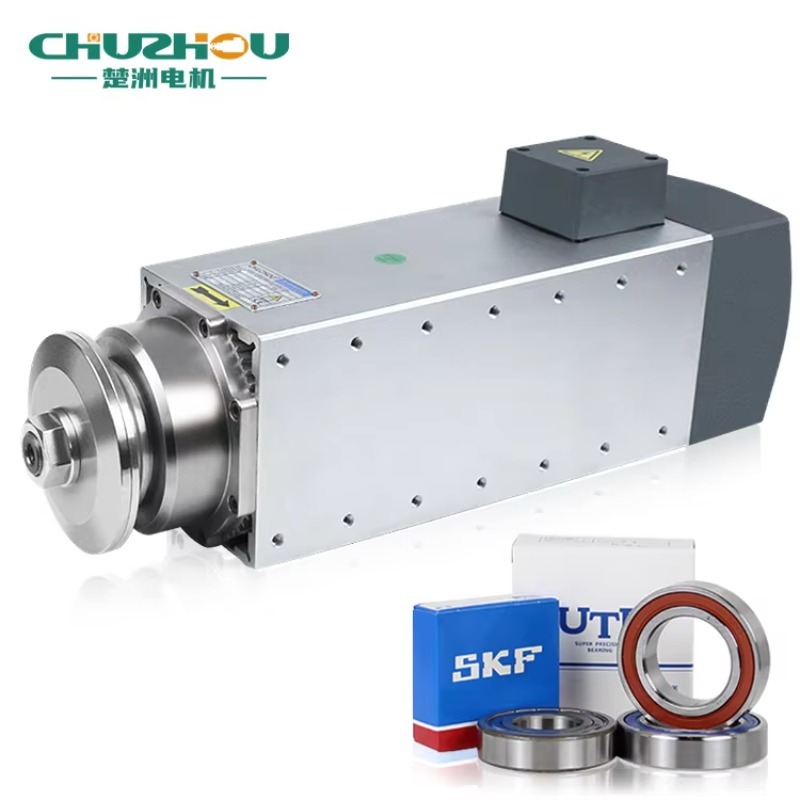 Hochgeschwindigkeitsspindel fü – Spindle Motor Bewertung und Preis